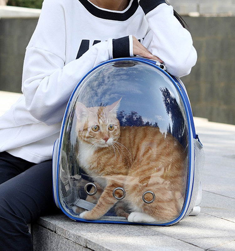 Expandable Cat backpack